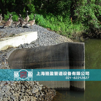 直嘴<a href=http://m.gzhjjs.com target=_blank class=infotextkey>橡膠止回閥</a>運(yùn)行現(xiàn)場